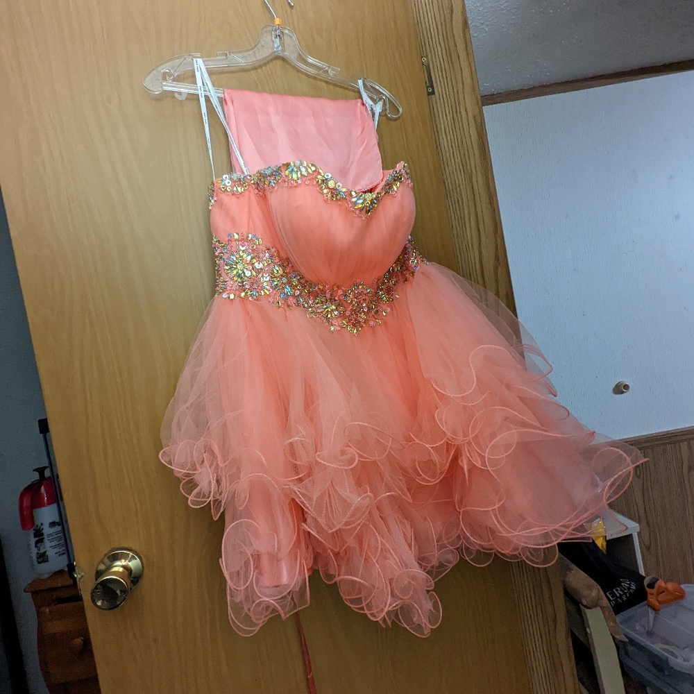 Beautiful pink short prom dress with silk wraps